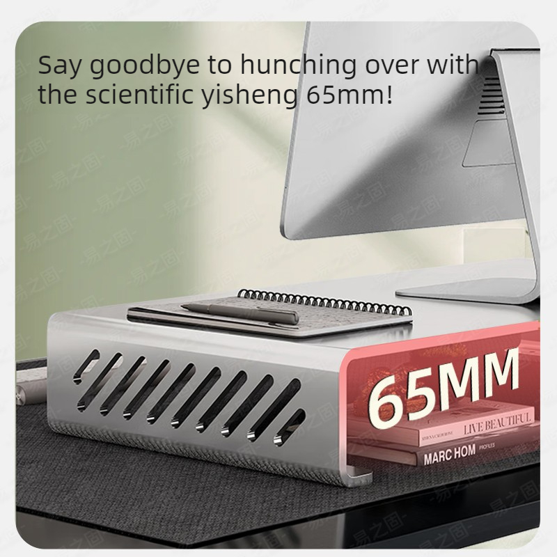 Computer Monitor Stand Riser E - Desk Setup Laptop And Monitor ulasan dan harga