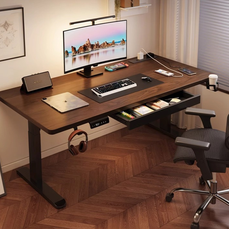 Modern Iron Dual Motor Electri - Desk Setup Ergonomics ulasan dan harga